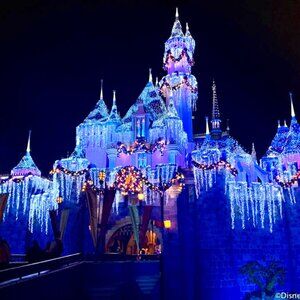 Meet your Posher, KD